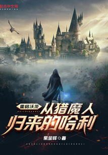 Hogwarts: Harry Returns From The Witcher