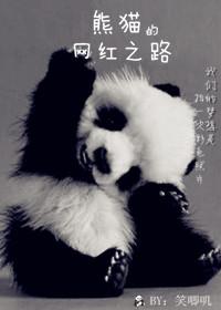 Panda's Road to Internet Celebrity